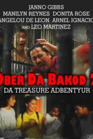 Ober Da Bakod 2: Da Treasure Adbentyur