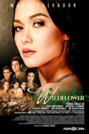 Wildflower (International Version) (Complete)
