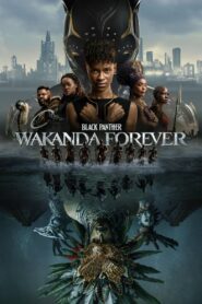 Black Panther: Wakanda Forever (English Audio)